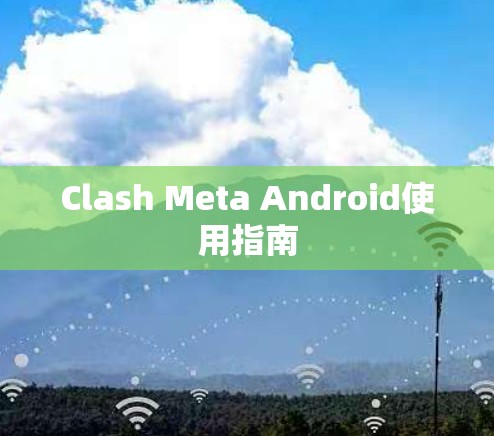 Clash Meta Android使用指南