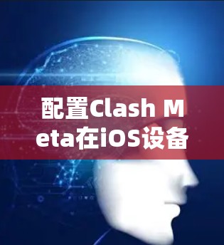 配置Clash Meta在iOS设备上的步骤如下