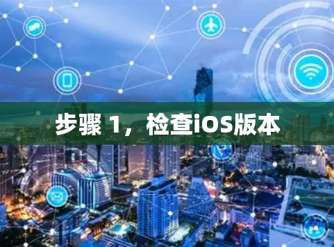 步骤 1，检查iOS版本