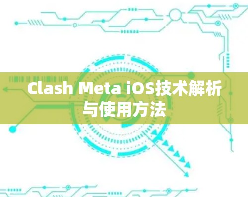 Clash Meta iOS技术解析与使用方法