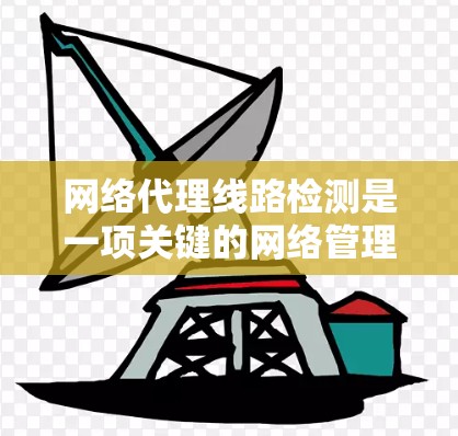 网络代理线路检测是一项关键的网络管理任务，旨在确保网络代理设备和路径的稳定性和可靠性。以下是对该检测过程的详细分步说明