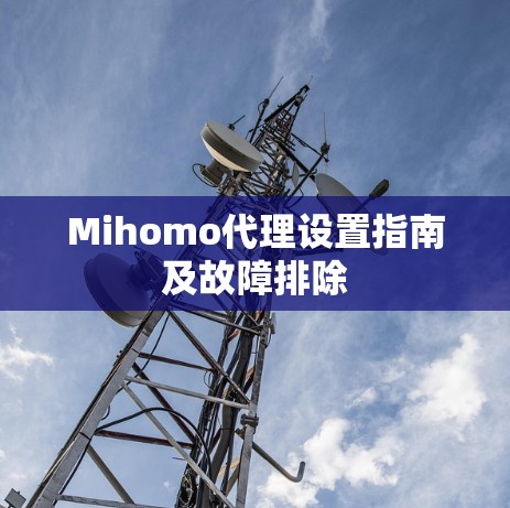 Mihomo代理设置指南及故障排除
