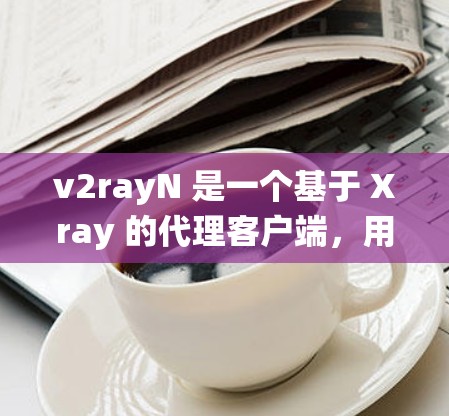 v2rayN 是一个基于 Xray 的代理客户端，用于绕过网络限制。以下是设置 v2rayN 客户端的基本步骤