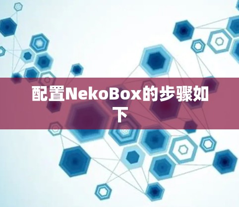 配置NekoBox的步骤如下