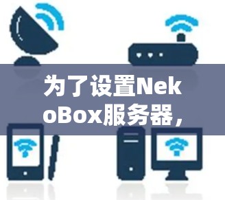 为了设置NekoBox服务器，请按照以下步骤操作