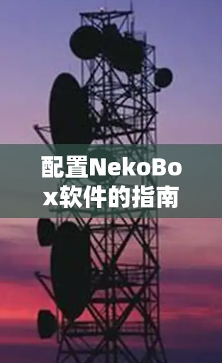 配置NekoBox软件的指南如下