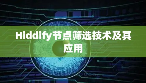 Hiddify节点筛选技术及其应用