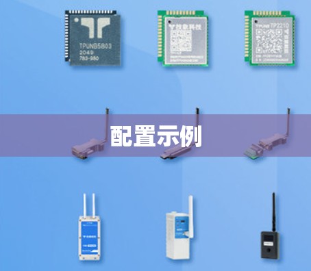 配置示例