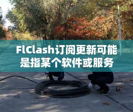 FlClash订阅更新可能是指某个软件或服务的更新订阅功能。由于没有具体的上下文信息，以下是一些可能的解释和建议