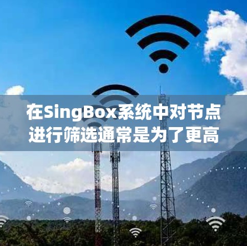 在SingBox系统中对节点进行筛选通常是为了更高效地管理和操作这些节点。以下是进行节点筛选的基本步骤和方法