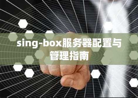 sing-box服务器配置与管理指南