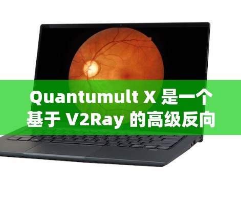 Quantumult X 是一个基于 V2Ray 的高级反向代理服务器，提供了更强大的功能和更好的配置选项。以下是 Quantumult X 服务器的设置步骤和常见配置