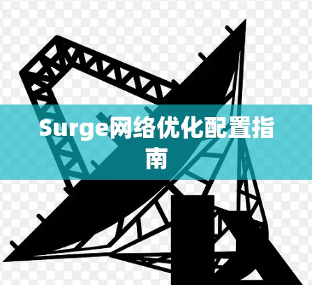 Surge网络优化配置指南