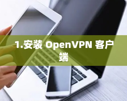 1.安装 OpenVPN 客户端