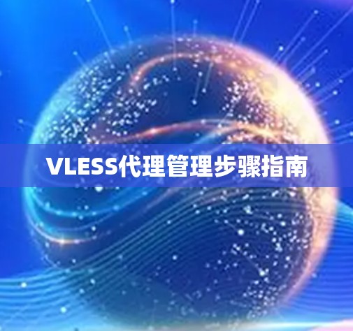 VLESS代理管理步骤指南