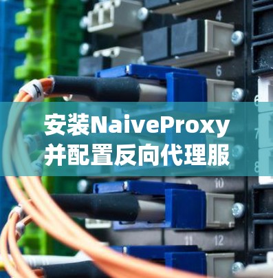 安装NaiveProxy并配置反向代理服务器的步骤如下