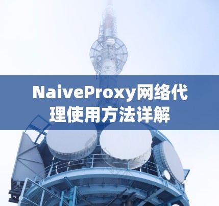 NaiveProxy网络代理使用方法详解