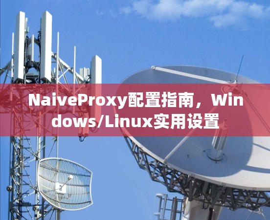 NaiveProxy配置指南，Windows/Linux实用设置