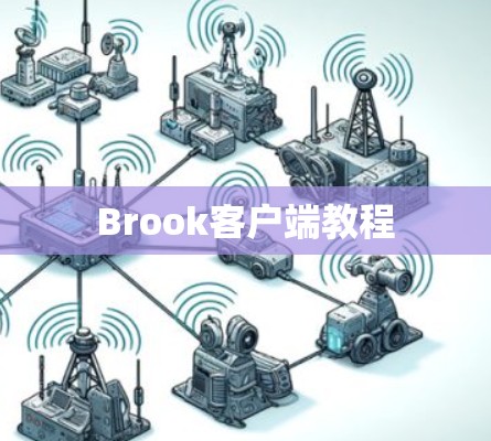 Brook客户端教程 Brook客户端教程