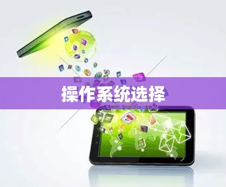 操作系统选择 操作系统选择