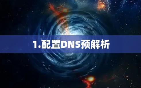 1.配置DNS预解析