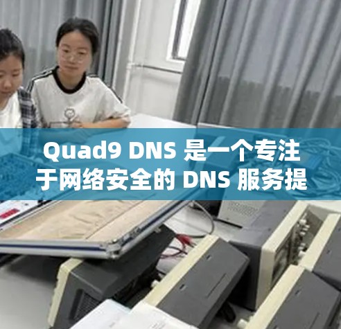 Quad9 DNS 是一个专注于网络安全的 DNS 服务提供商，主要面向于提高网络安全性，特别是针对移动设备和物联网设备。以下是使用 Quad9 DNS 的基本方法和步骤