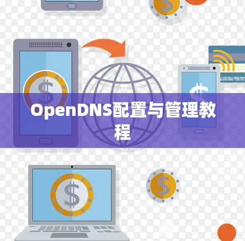 OpenDNS配置与管理教程