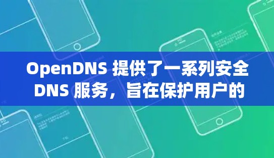 OpenDNS 提供了一系列安全 DNS 服务，旨在保护用户的网络安全，防止 DNS 劫持 和 恶意 域名 问题。以下是 OpenDNS 安全 DNS 的一些关键点和功能