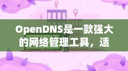 OpenDNS是一款强大的网络管理工具，适用于多种场景。以下是分步骤的指南，帮助您有效地使用OpenDNS