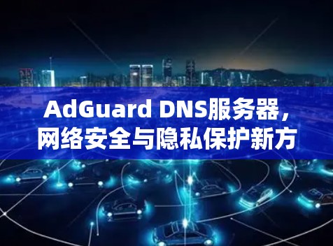 AdGuard DNS服务器，网络安全与隐私保护新方案