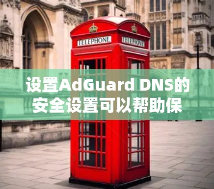 设置AdGuard DNS的安全设置可以帮助保护你的网络环境，防止广告和恶意内容。以下是详细的步骤指南