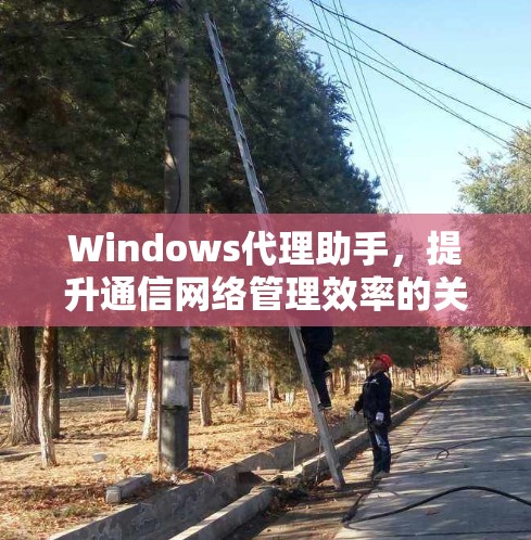 Windows代理助手，提升通信网络管理效率的关键工具