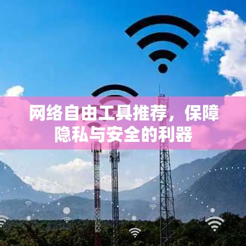 网络自由工具推荐，保障隐私与安全的利器