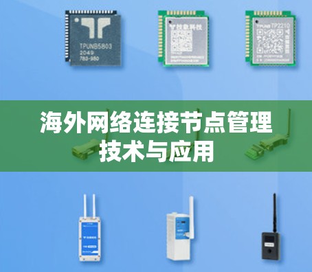 海外网络连接节点管理技术与应用