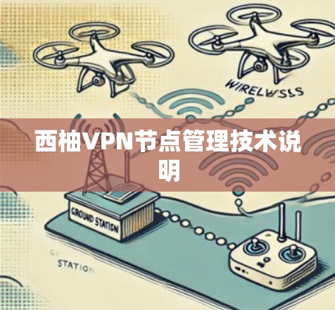 西柚VPN节点管理技术说明
