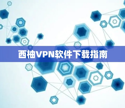 西柚VPN软件下载指南