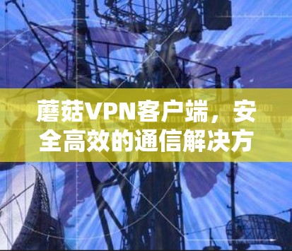 蘑菇VPN客户端，安全高效的通信解决方案