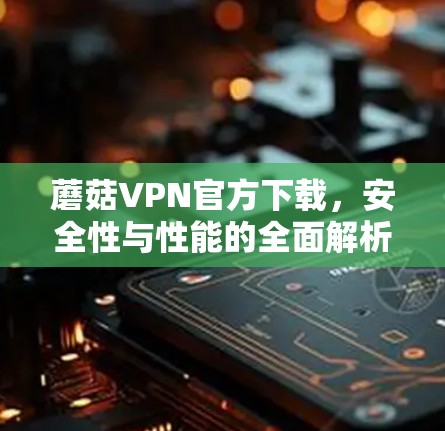 蘑菇VPN官方下载，安全性与性能的全面解析