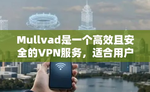Mullvad是一个高效且安全的VPN服务，适合用户希望保护隐私和安全的需求。以下是使用Mullvad的详细指南