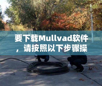 要下载Mullvad软件，请按照以下步骤操作