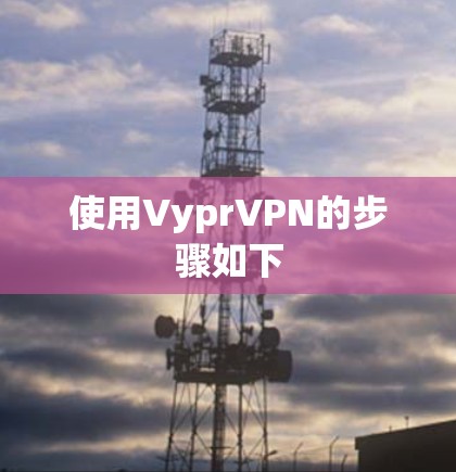 使用VyprVPN的步骤如下