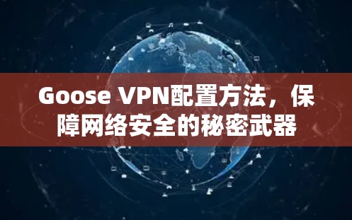 Goose VPN配置方法，保障网络安全的秘密武器