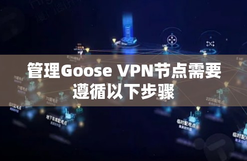 管理Goose VPN节点需要遵循以下步骤