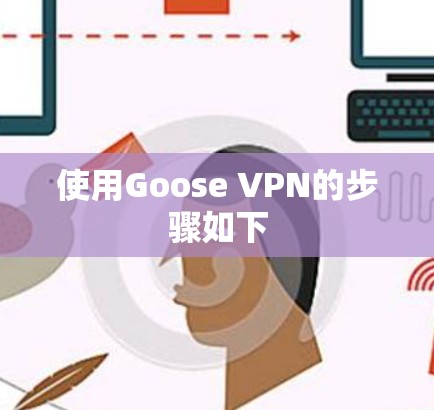 使用Goose VPN的步骤如下