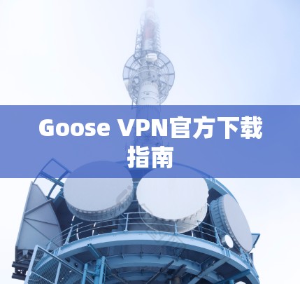 Goose VPN官方下载指南