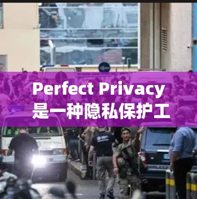 Perfect Privacy 是一种隐私保护工具，可能涉及 VPN 或其他安全功能。如果你想下载它，请注意以下几点