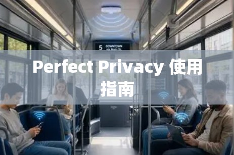 Perfect Privacy 使用指南