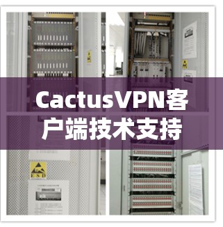 CactusVPN客户端技术支持指南