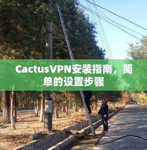 CactusVPN安装指南，简单的设置步骤