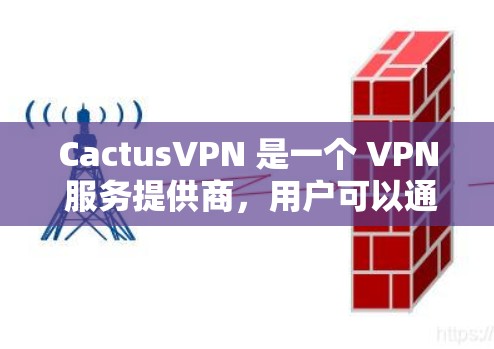 CactusVPN 是一个 VPN 服务提供商，用户可以通过其平台或客户端管理 VPN 节点。以下是一些关于 CactusVPN 节点管理的常见操作和信息